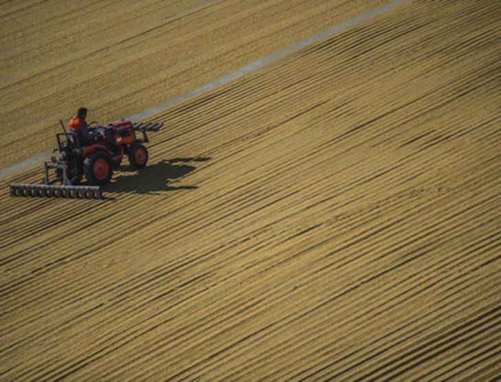 Güneydoğu bulguru 88 ülkeye satıldı G4