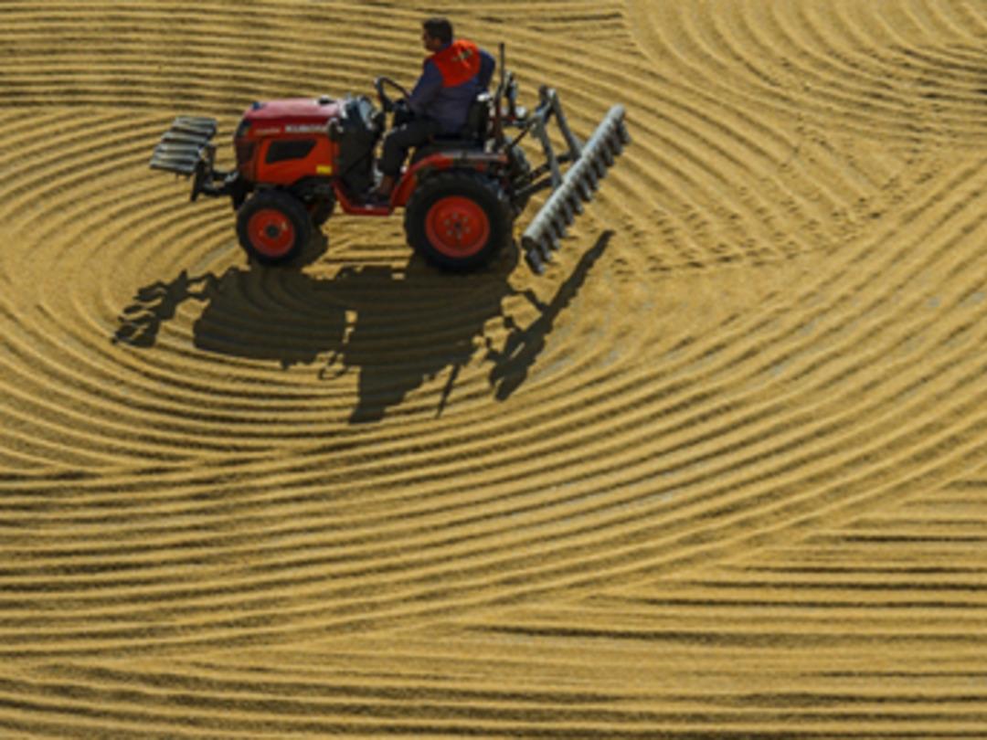 G&uuml;neydoğu bulguru 88 &uuml;lkeye satıldı