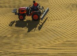 Güneydoğu bulguru 88 ülkeye satıldı