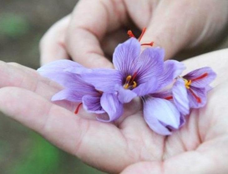 Gramı en pahalı 10 ürün G1