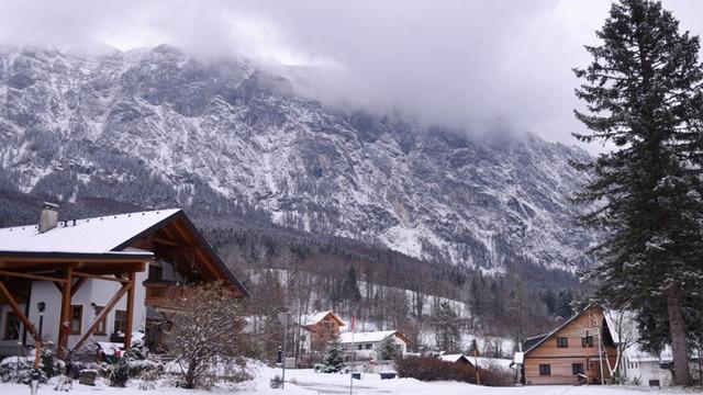 8 kişinin canını alan felaket! Türkiye'de de benzeri yaşandı: Avusturya bu olayı konuşuyor