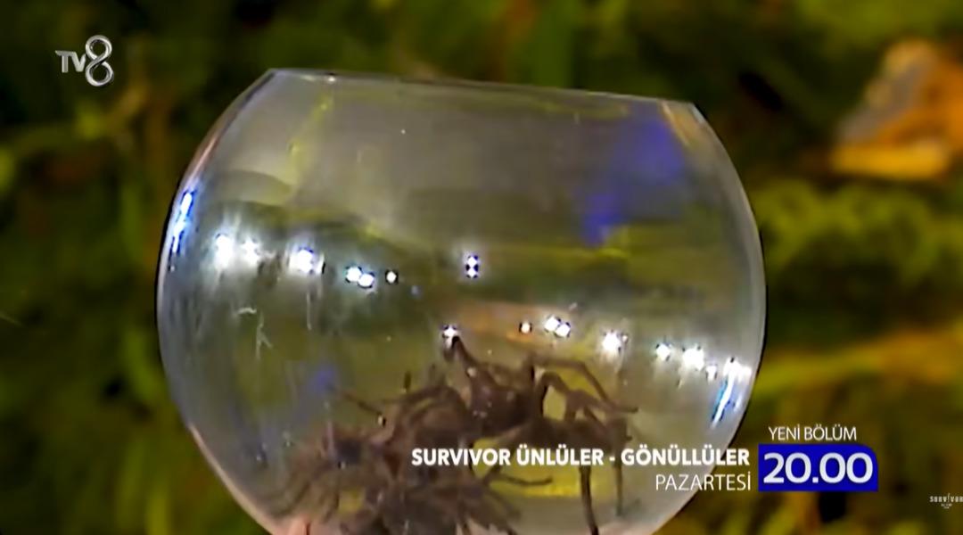 Survivor da Acun Ilıcalı nın  TV de yayınlamayacak  dediği ceza ortaya &ccedil;ıktı 2