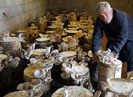 Çiftçiliği bırakıp bu işe girdi