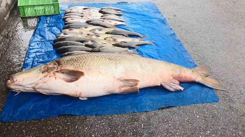 Elazığ&rsquo;da 52 kilogram ağırlığında turna yakalandı