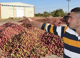 Para etmeyen elmanın sağlamı da çürüğü de satılmıyor