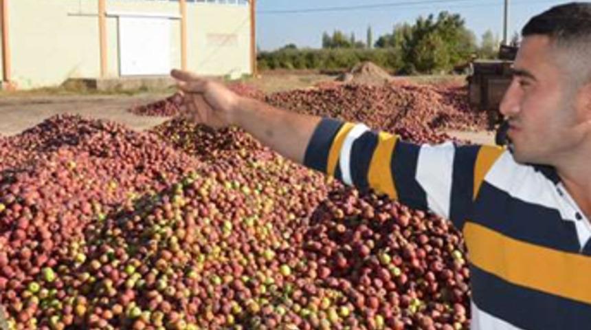 Para etmeyen elmanın sağlamı da çürüğü de satılmıyor