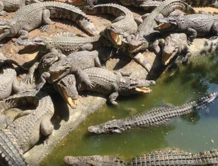 Afrika'nın yeni geçim kapısı G2