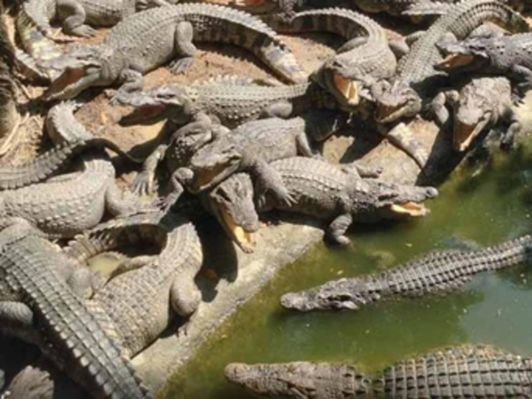 Afrika'nın yeni ge&ccedil;im kapısı