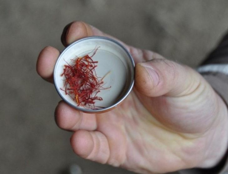 Safran altınla yarışıyor G4