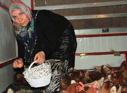 Ev hanımıydı, kendi çiftliğini kurdu