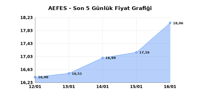 ANADOLU EFES (AEFES) 19 Ocak Pazartesi 2026 G&uuml;nl&uuml;k Teknik Analiz 1