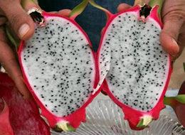 Tanesini 16.5 TL'den satıyor