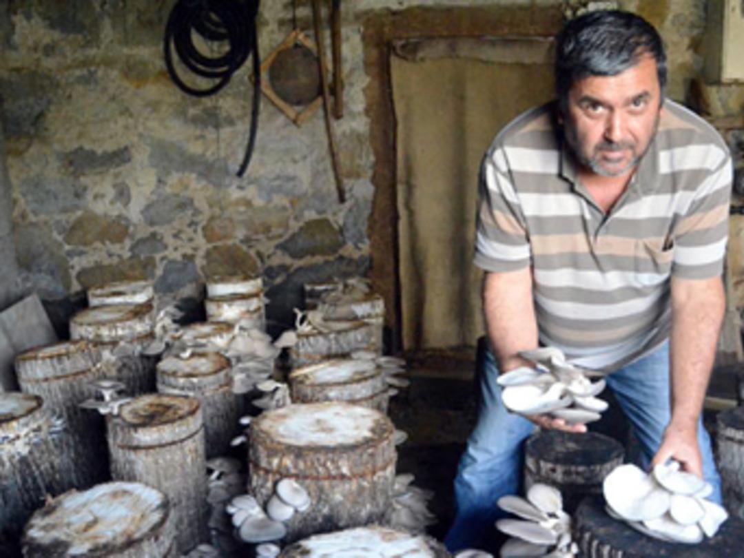 Bodrumda yetiştirip internetten satıyor