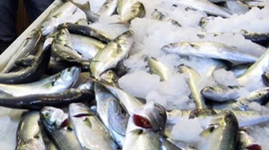 Lüfer balığının fiyatı kırmızı eti solladı