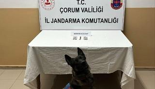 &Ccedil;orum&rsquo;da uyuşturucu hapla yakalanan 3 kişi g&ouml;zaltına alındı