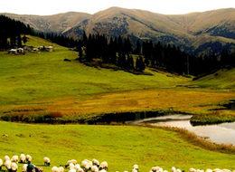 Amerika'ya en çok göç veren ilçe Yağlıdere