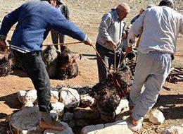 Söğle peyniri 2 ay kar dolu kuyuda bekletilerek yapılıyor