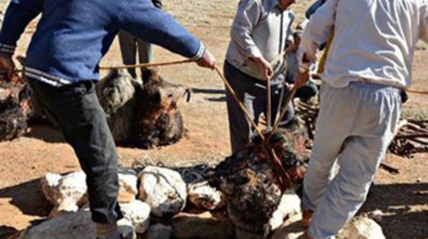 Söğle peyniri 2 ay kar dolu kuyuda bekletilerek yapılıyor