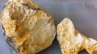 Balina kusmuğu bulan balıkçılar zengin oldu