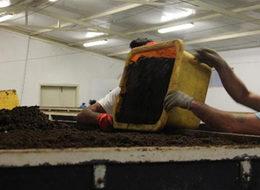 150 milyon solucanla, yılda 500 ton organik gübre üretiyor