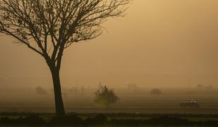 Pilot uygulama başladı, 1 Temmuz'da 81 ilde! Tarımda 'B-Re&ccedil;ete' detayları