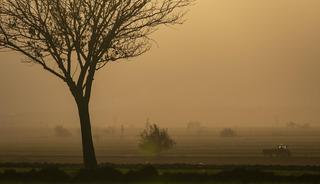 'B-Re&ccedil;ete' Pilot uygulama başladı, 1 Temmuz'da 81 ilde