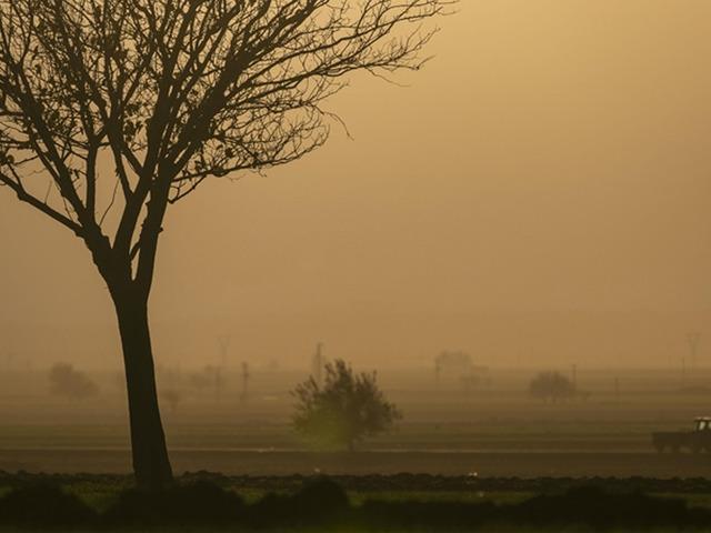 Pilot uygulama başladı, 1 Temmuz'da 81 ilde! Tarımda 'B-Re&ccedil;ete' detayları