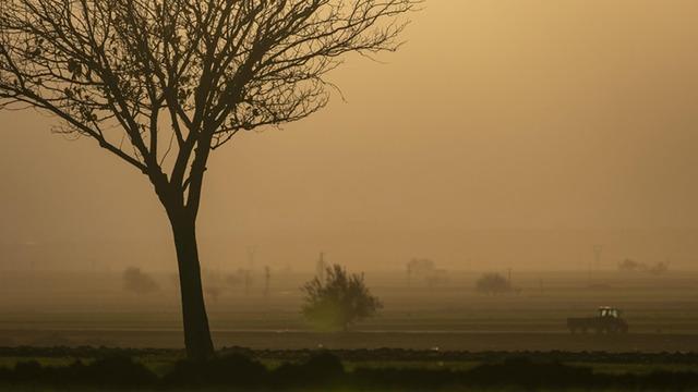 Pilot uygulama başladı, 1 Temmuz'da 81 ilde! Tarımda 'B-Reçete' detayları