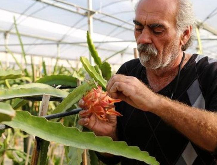 Markette en çok sattığı ürünün yetiştiricisi oldu G1