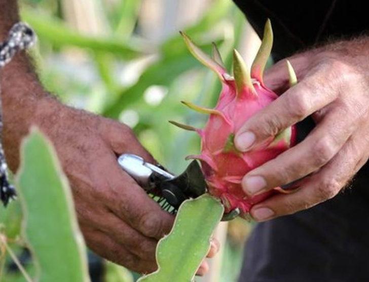 Markette en çok sattığı ürünün yetiştiricisi oldu G3