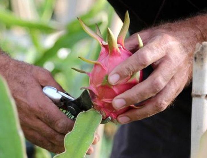 Markette en çok sattığı ürünün yetiştiricisi oldu G5