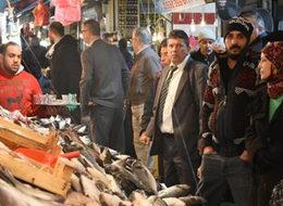 Çinekop bereketi palamudu geçti