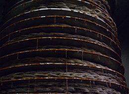 Zeytin sütü raflarda yerini aldı