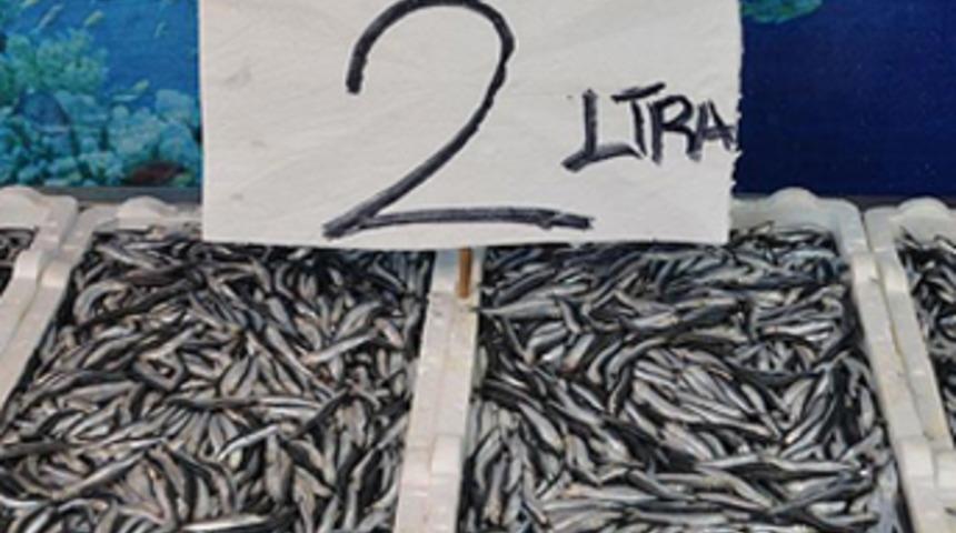 Hamsi fiyatı 2 liraya düştü