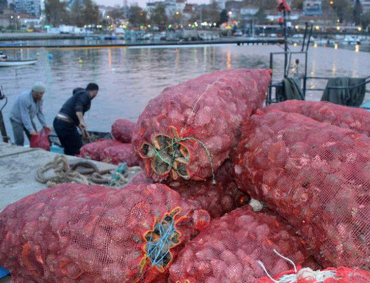 Uzak Doğu'ya salyangoz ihracatı G2