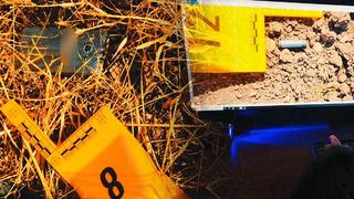 Son dakika: Diyarbakır'da 11 yıllık Veysi &Ccedil;evik cinayeti &ccedil;&ouml;z&uuml;ld&uuml;! 6 ş&uuml;pheli tutuklandı