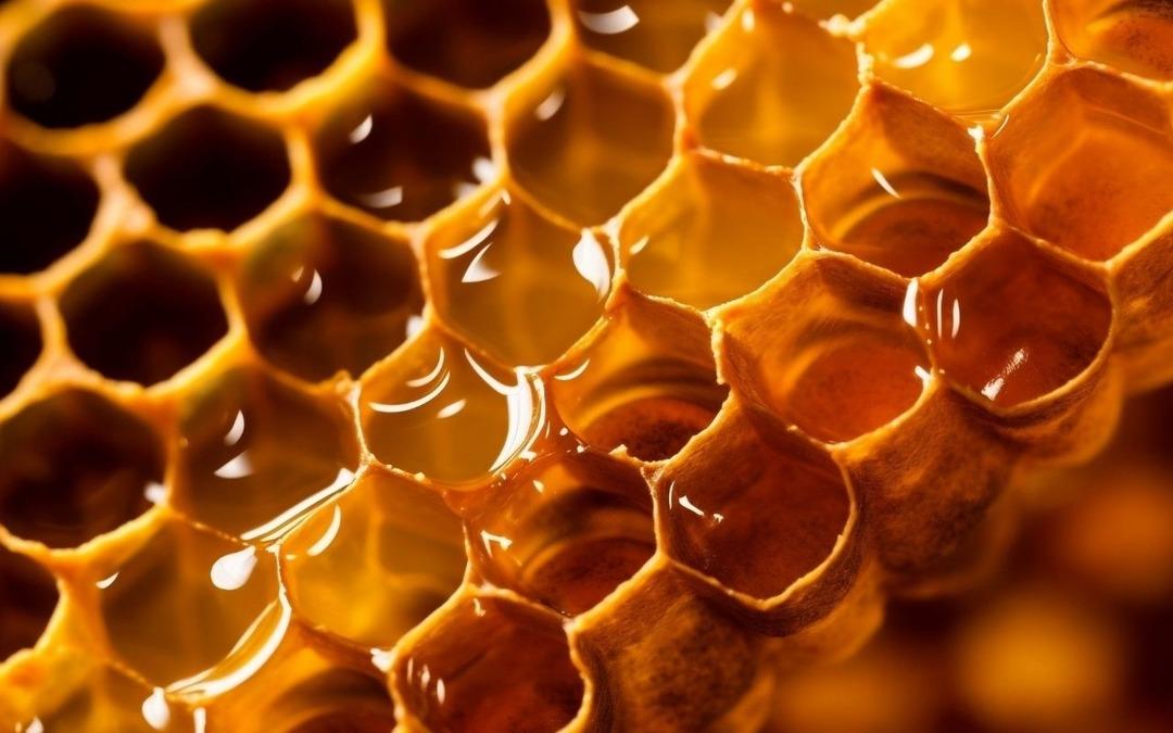 "&Ccedil;erkeş &ccedil;i&ccedil;ek balı" coğrafi işaretle tescillendi 1