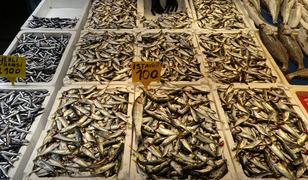 Soğuk hava balığa olan ilgiyi artırdı