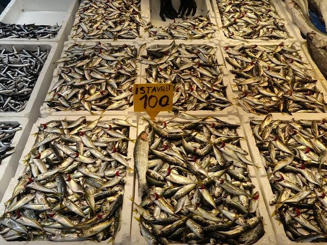 Soğuk hava balığa olan ilgiyi artırdı