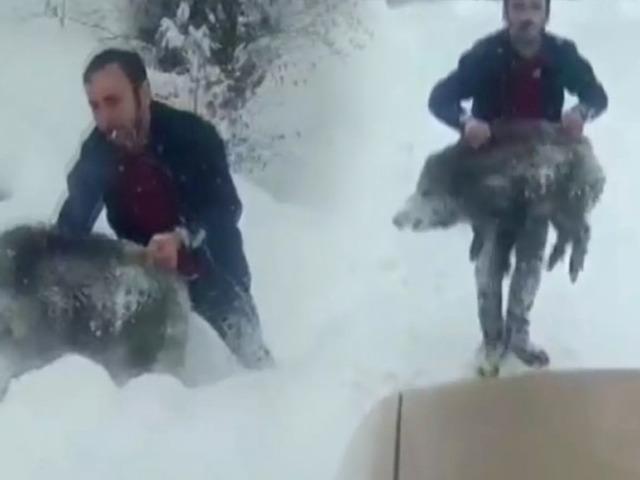 D&uuml;nyanın onu eliyle domuz yakalamasından tanımıştı! O ismin cezasıyla ilgili yeni gelişme