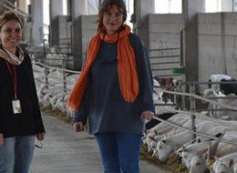 Cüppeyi çıkardı keçi sütü sağdı