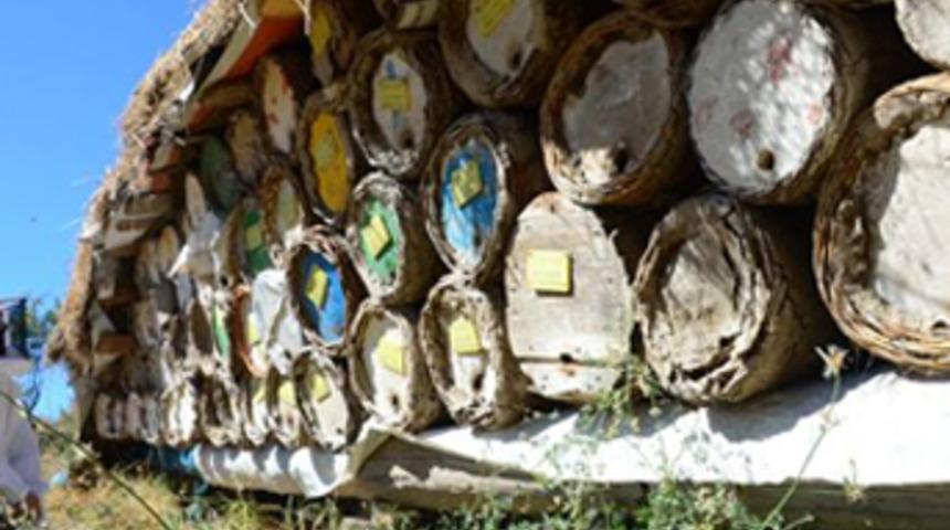 Anzer balının tamamı için sipariş alındı