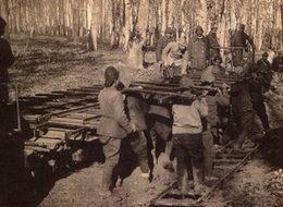 Tarihi demiryolu hattı tekrar hayata geçiyor