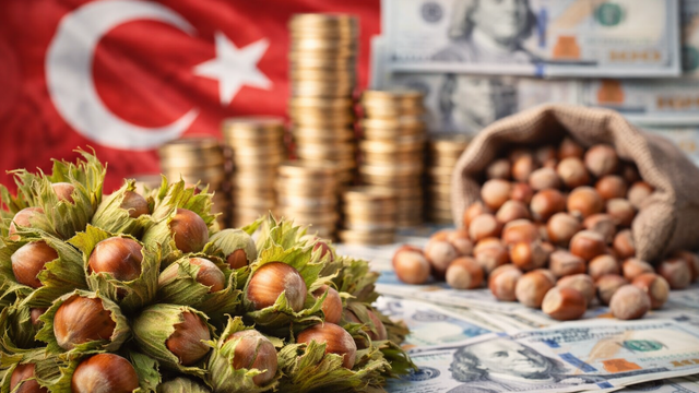 Fındıkta rekor yılı: T&uuml;rkiye&rsquo;nin 'yeşil altını' 2,3 milyar dolarlık d&ouml;viz yağdırdı
