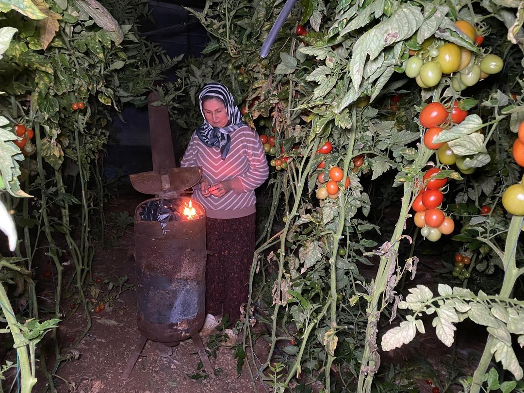 Zirai don n&ouml;betleri başladı: Sabaha kadar soba başında beklediler!  4