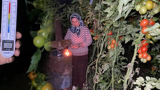 Zirai don nöbetleri başladı: Sabaha kadar soba başında beklediler! 