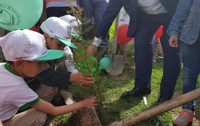 Hisarcık köy okulunda fidan dikme şenliği