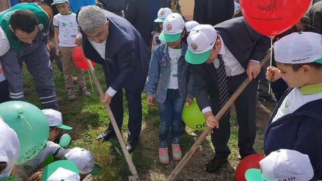 Hisarcık köy okulunda fidan dikme şenliği