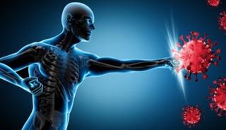 Bağışıklığımızı g&uuml;&ccedil;lendirmek buralardan ge&ccedil;iyor