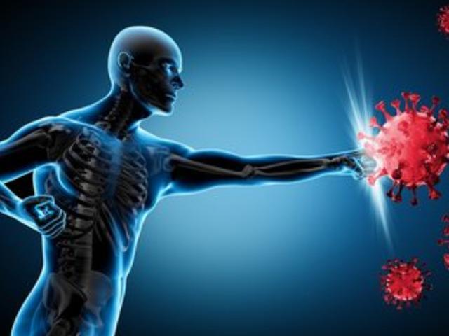 Bağışıklığımızı g&uuml;&ccedil;lendirmek buralardan ge&ccedil;iyor